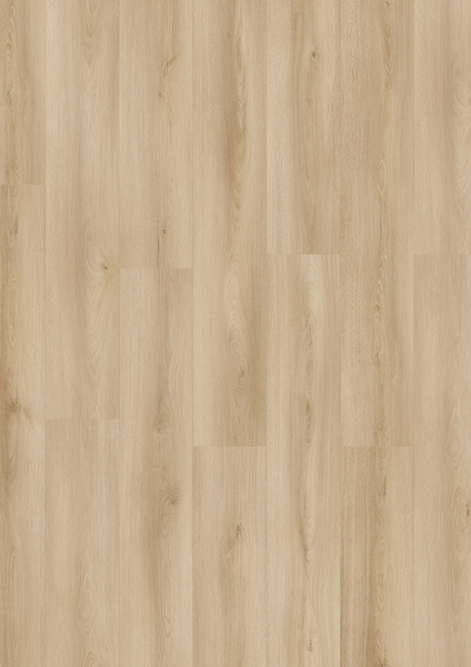 30416093-IMAGE.600.jpg
