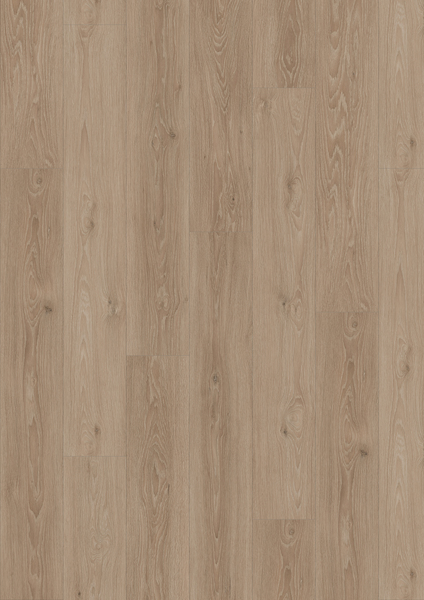 30416094-IMAGE.600.jpg