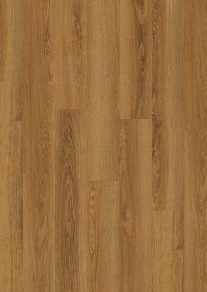 30541426-IMAGE.600.jpg