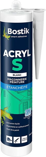 BOSTIK-613629.600.jpg