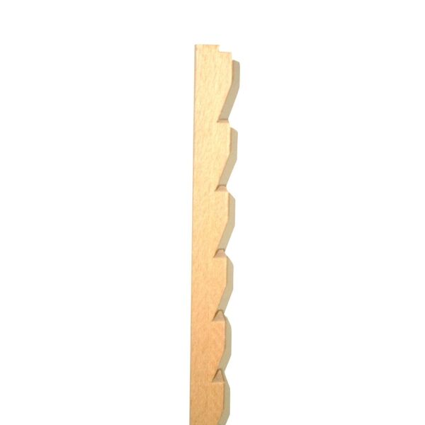 005906.600.jpg