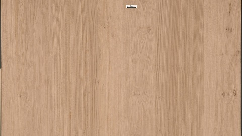 N119-BILEGNO.600.jpg