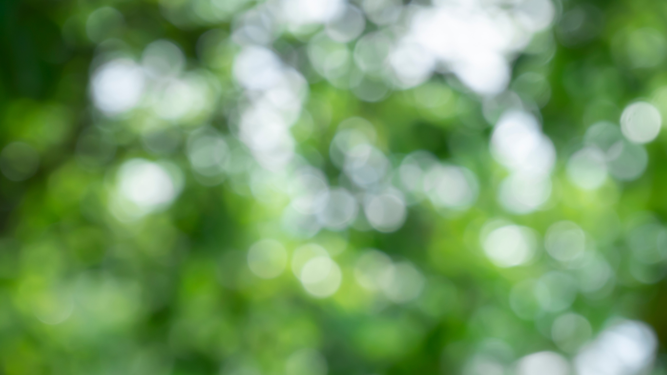 widget_50_7_slide_4_bg1750080489.png