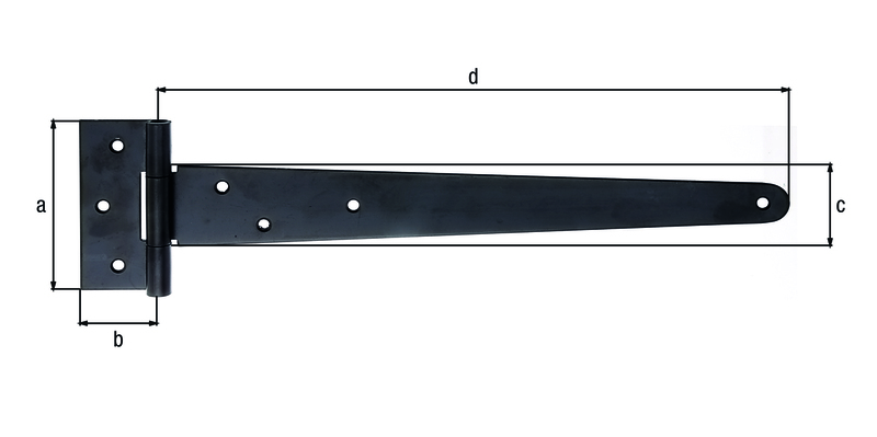 ALBERT-309862.600.jpg