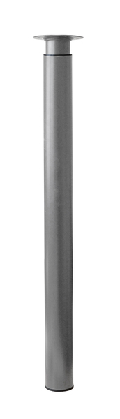 53031